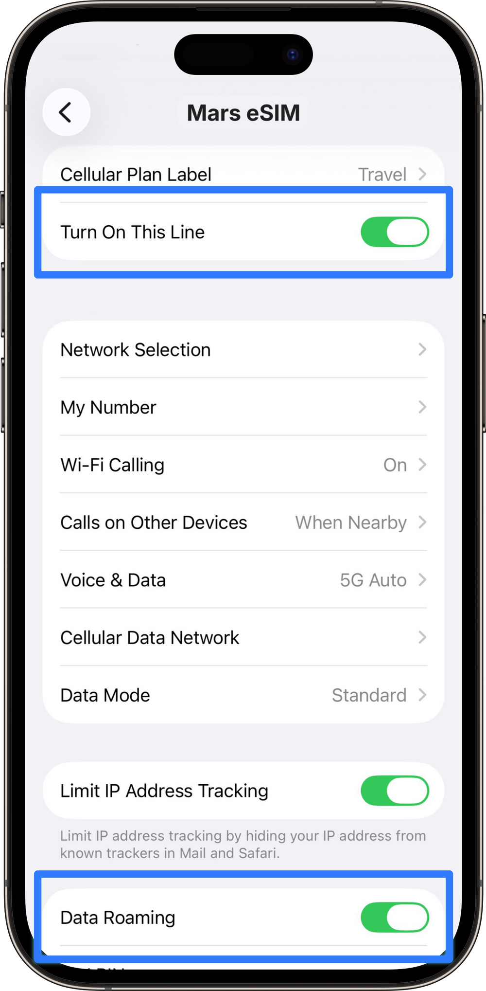 Turn On Data Roaming