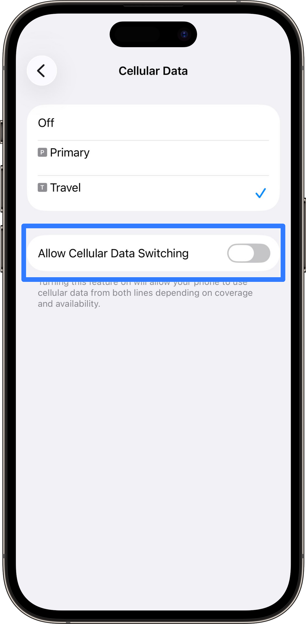Select Your Travel eSIM